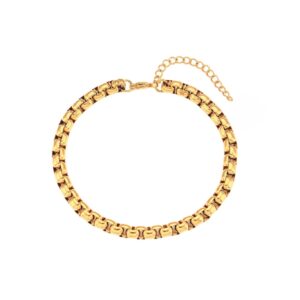 Zaida Box Chain Bracelet